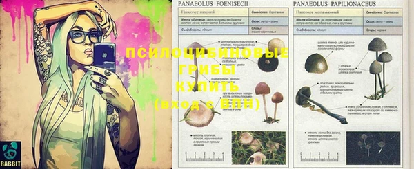 хмурый Абинск