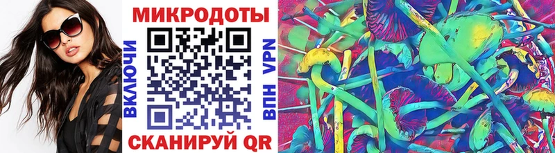 Галлюциногенные грибы Psilocybe  Шахунья 